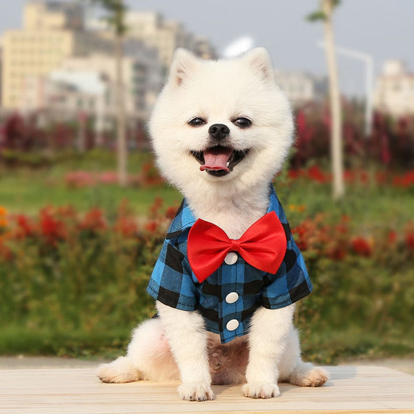 Plaid Striped Shirt Suit with Bow Tie Puppy Dress for Small-Medium Size Dog, Cat