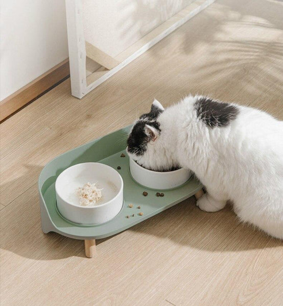 Elevated Dog & Cat Bowl Raised Pet Dish with Ceramic Bowls, No-Skid Silicone Mat