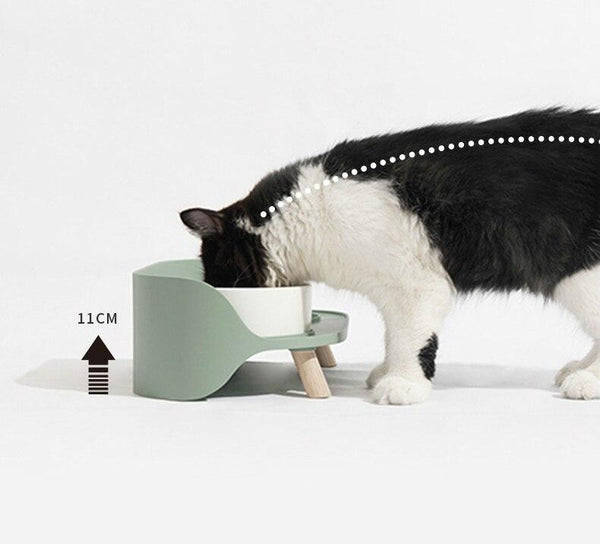 Elevated Dog & Cat Bowl Raised Pet Dish with Ceramic Bowls, No-Skid Silicone Mat