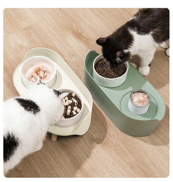 Elevated Dog & Cat Bowl Raised Pet Dish with Ceramic Bowls, No-Skid Silicone Mat