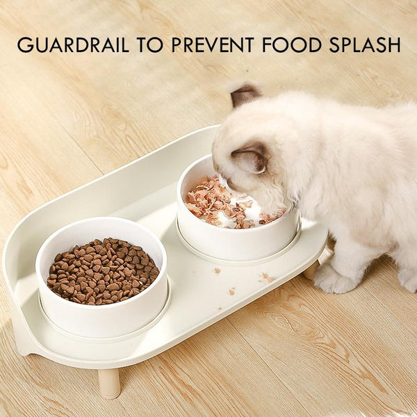 Elevated Dog & Cat Bowl Raised Pet Dish with Ceramic Bowls, No-Skid Silicone Mat