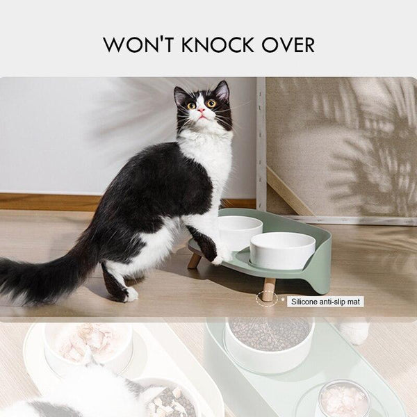Elevated Dog & Cat Bowl Raised Pet Dish with Ceramic Bowls, No-Skid Silicone Mat