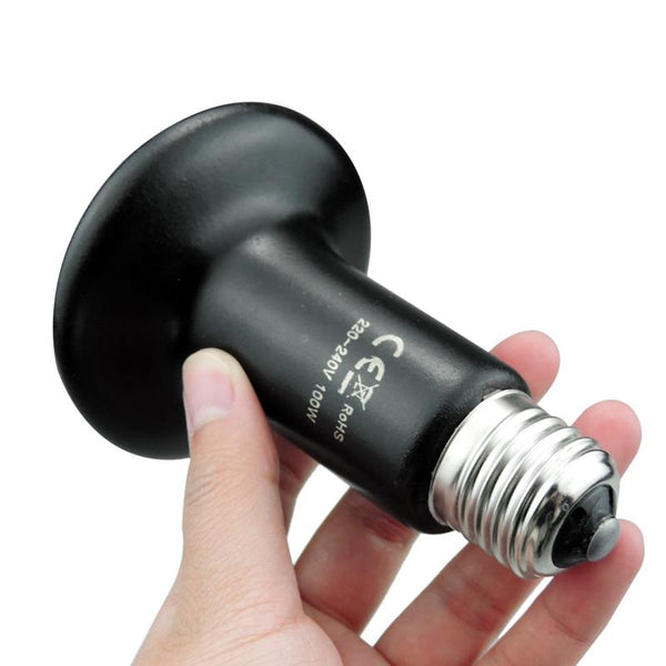 Reptile Heating Bulbs