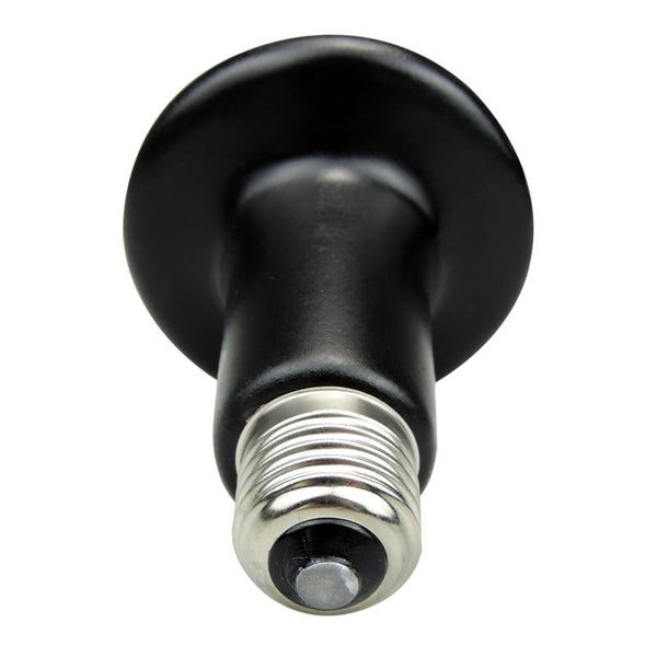 Reptile Heating Bulbs