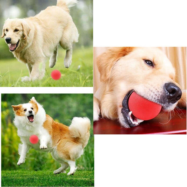 50-70mm Solid Rubber Bouncy Ball For Dogs Red Color Chew Resistant