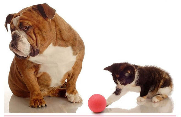 50-70mm Solid Rubber Bouncy Ball For Dogs Red Color Chew Resistant