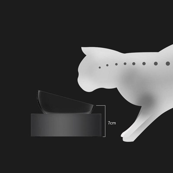 Stainless Steel Double Bowl 15 Degree Adjustable Pet Food and Water Bowl - Raised Design