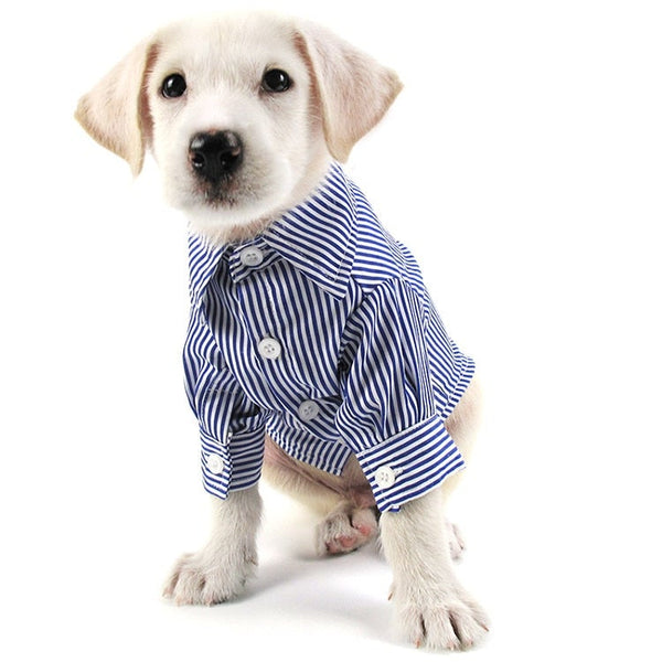 Stripe Dog Long-Sleeve Shirt Elegant Pet Clothing Fashion Red, Blue Color