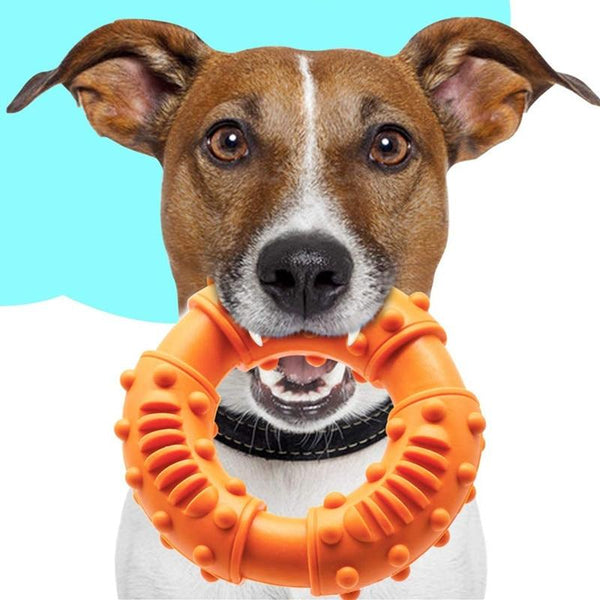 Teeth Care Chewing Toys for Dogs - Orange, Blue, Red