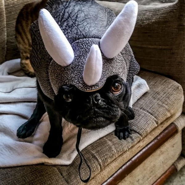 Pet Triceratops Dinosaur Hat Costume for Dogs