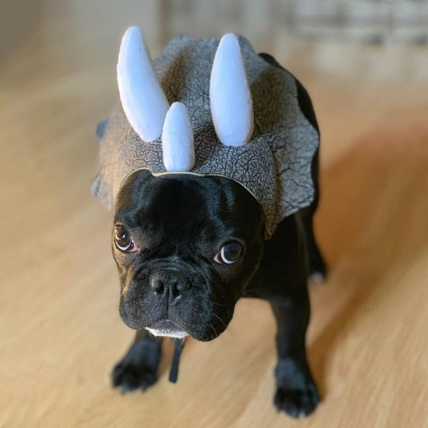 Pet Triceratops Dinosaur Hat Costume for Dogs