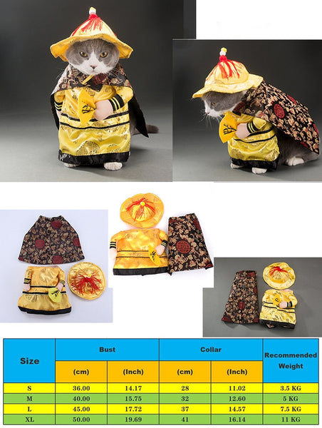 Various Cosplay Dresses for Cats: Pirate, Musician, Nurse, Policeman