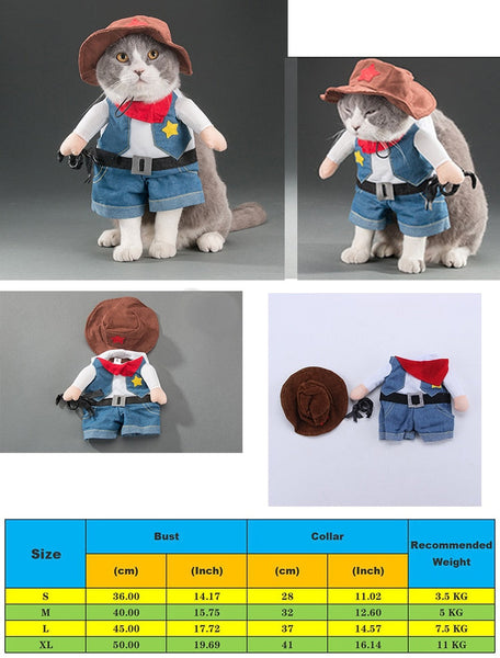 Various Cosplay Dresses for Cats: Pirate, Musician, Nurse, Policeman