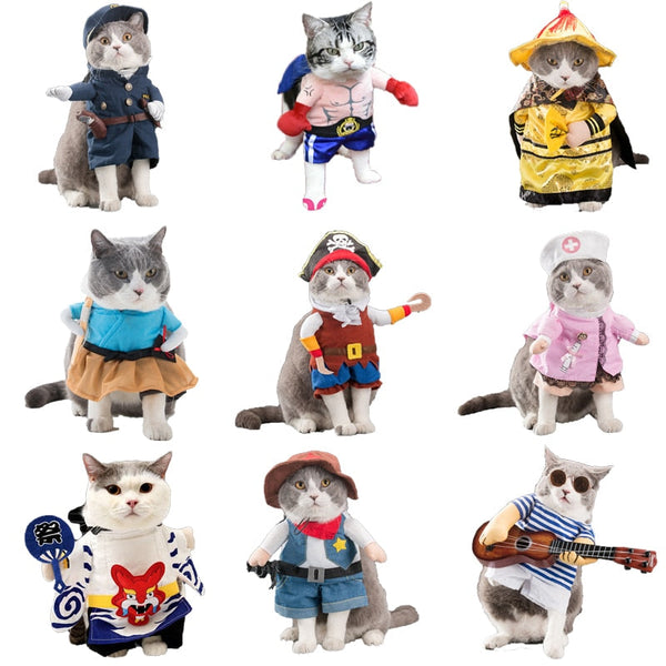 Various Cosplay Dresses for Cats: Pirate, Musician, Nurse, Policeman