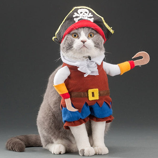 Various Cosplay Dresses for Cats: Pirate, Musician, Nurse, Policeman