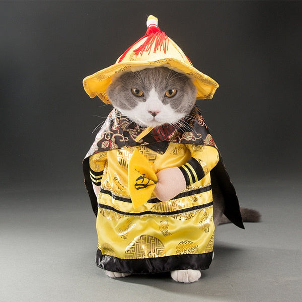 Various Cosplay Dresses for Cats: Pirate, Musician, Nurse, Policeman