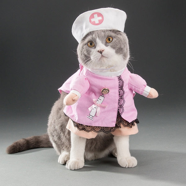 Various Cosplay Dresses for Cats: Pirate, Musician, Nurse, Policeman