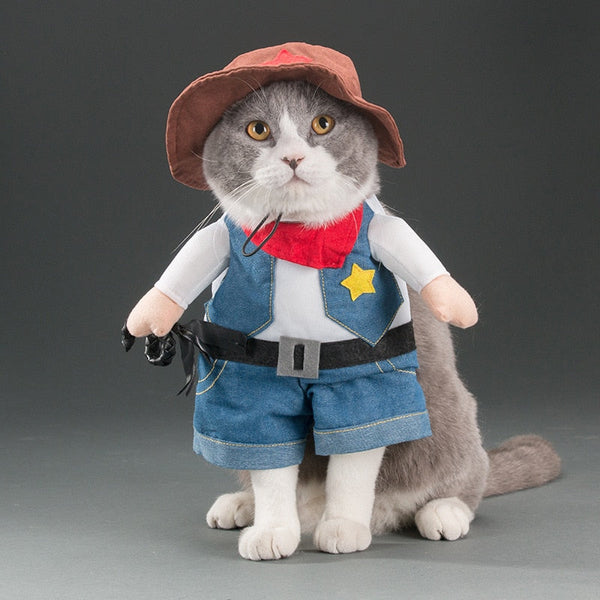 Various Cosplay Dresses for Cats: Pirate, Musician, Nurse, Policeman