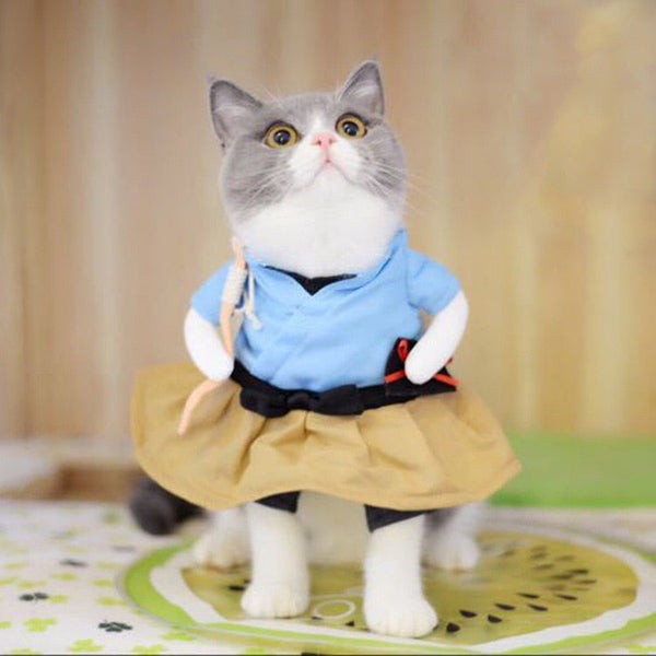 Various Cosplay Dresses for Cats: Pirate, Musician, Nurse, Policeman