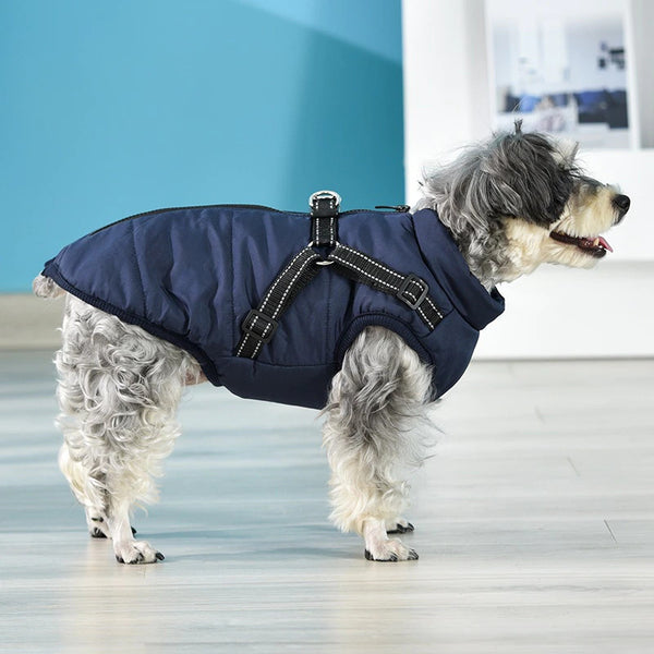 Winter Super Warm Jacket for Dogs