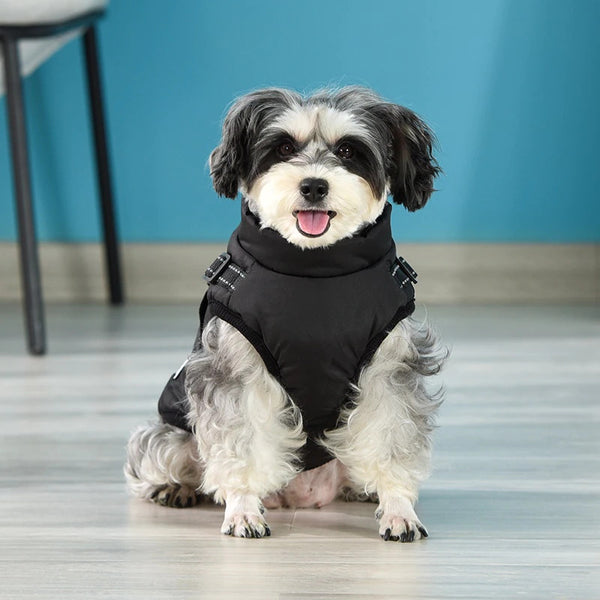 Winter Super Warm Jacket for Dogs