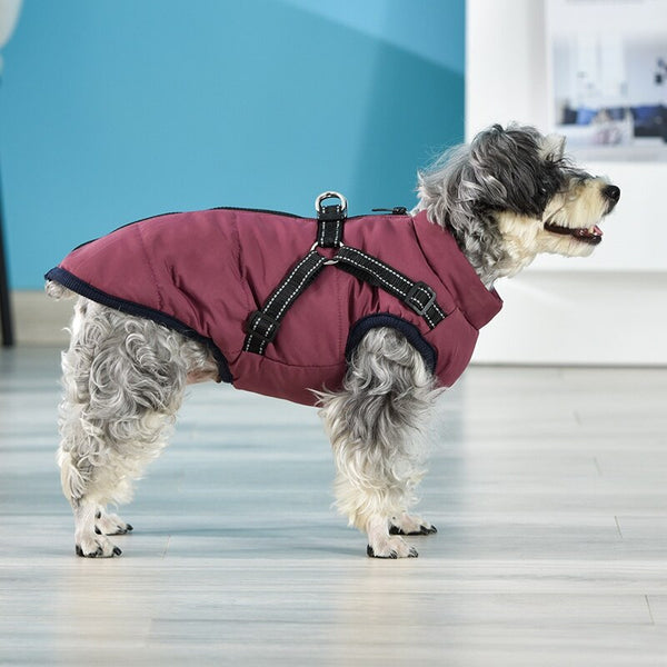 Burgundy Color Winter Super Warm Jacket for Dogs