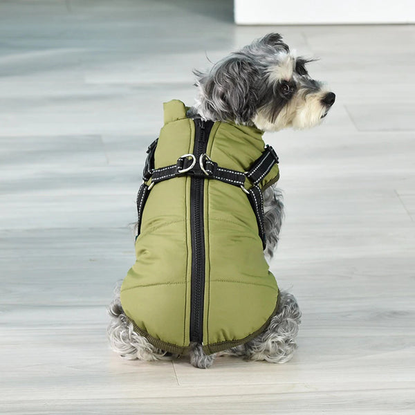 Green  Color Winter Super Warm Jacket for Dogs