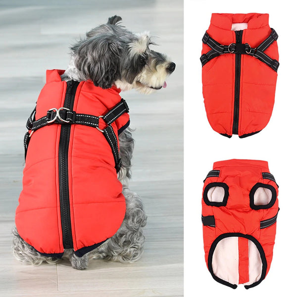 Winter Super Warm Jacket for Dogs