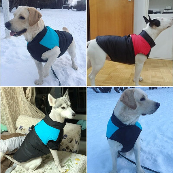 Dog Waterproof Padded Vest Zipper Jacket