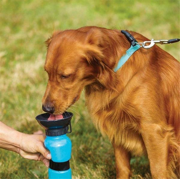 500ml Drinking Bottle with Bowl for Dogs