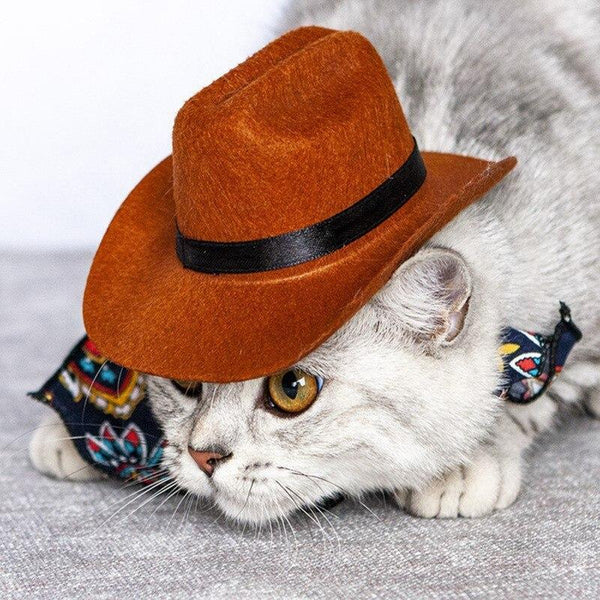 Pets Western Cowboy Hat Photo Prop for Dogs, Cats