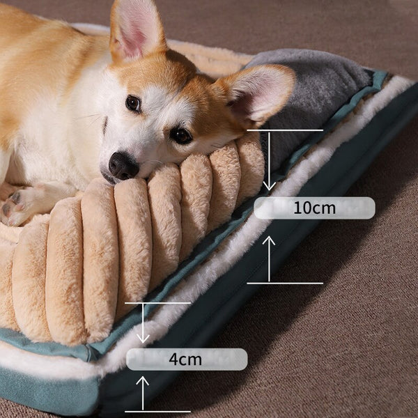Pet Bed Thickness