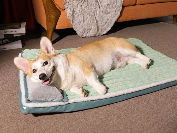 Beds For Small to Big Dogs