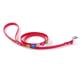 Double Row Flower Pet Collar and Leash