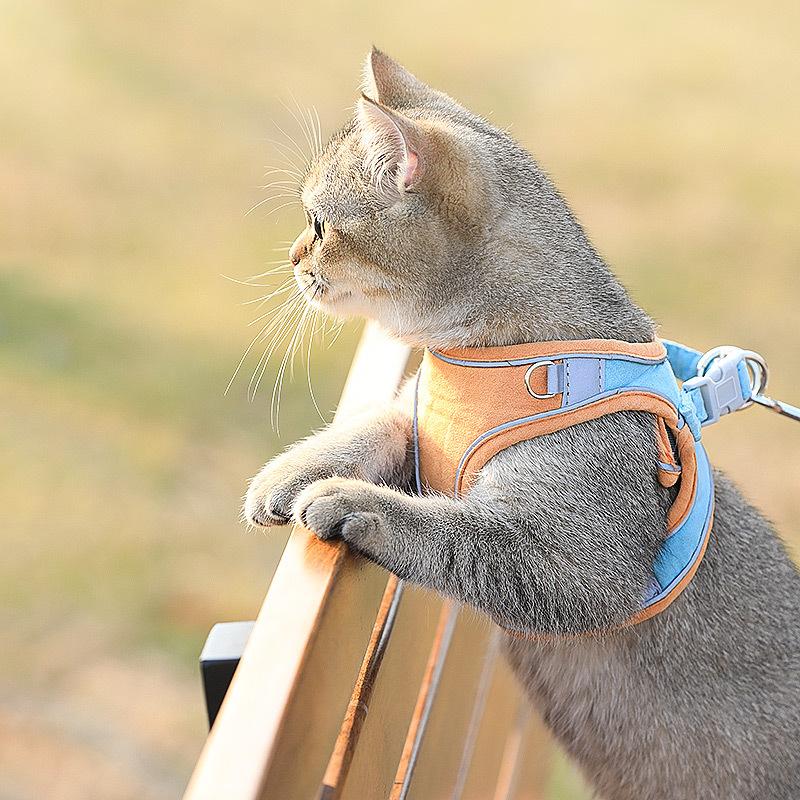 Cat Vest-Style Chest Harness Anti-Choke Cats Walking Rope