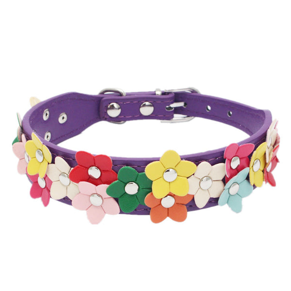 Double Row Flower Pet Collar and Leash