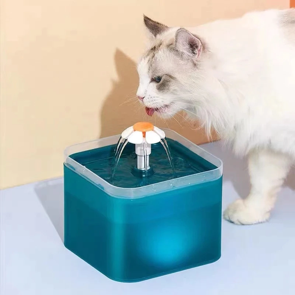 Water Fountain For Cats