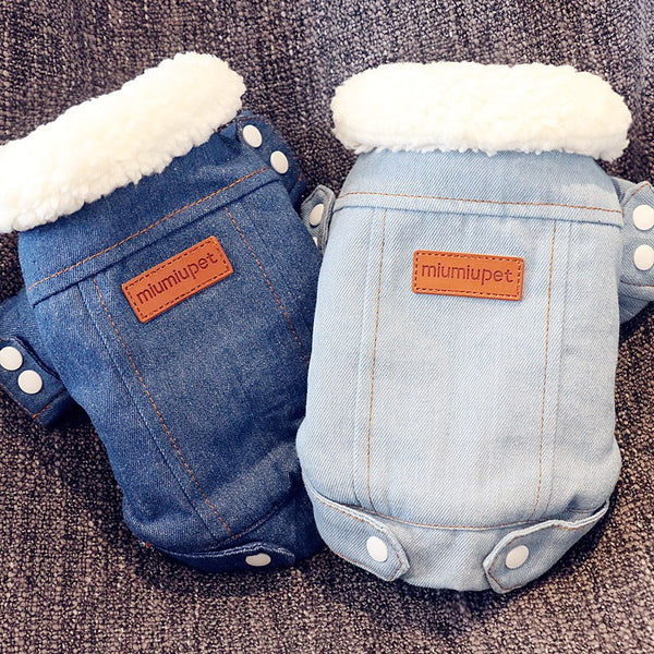 Winter Jeans Jacket for Small Dogs