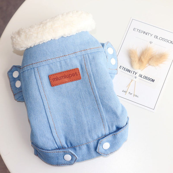 Winter Jeans Jacket for Small Dogs