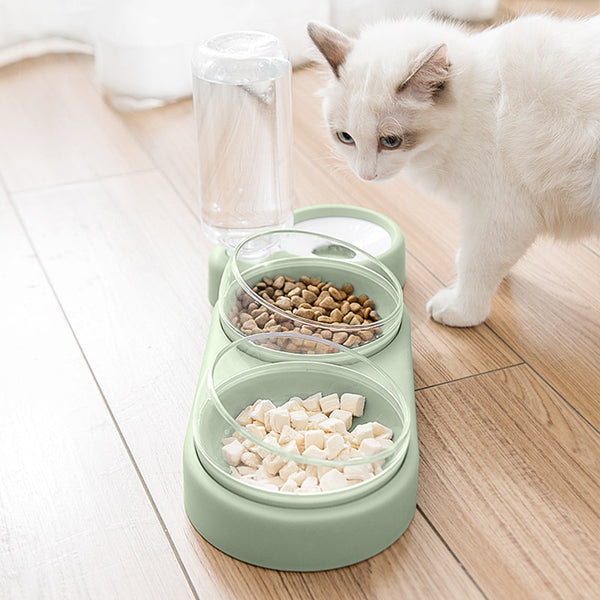 Pet Double Bowl Feeder Container with Automatic Water Dispenser For Dogs & Cats