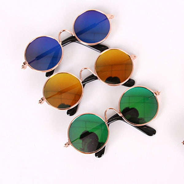 Oval Sunglasses Photo Prop Eyewear Only for the Coolest Cats