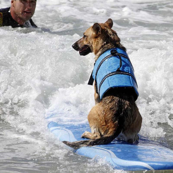 Dog Life Vest Summer Printed Pet Safety Jacket Swimwear