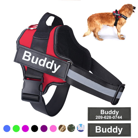 Personalized, Custom Name Plate Adjustable Dog Harness Vest