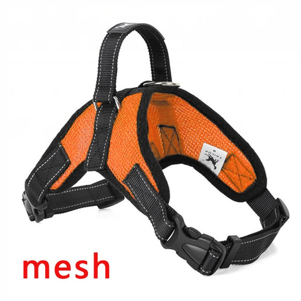 Dog Chest Harness with Handle for Small to Large Dogs, Multicolor