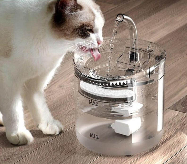 2L Automatic Water Fountain with Charcoal Filter Pet Drinker Water Dispenser