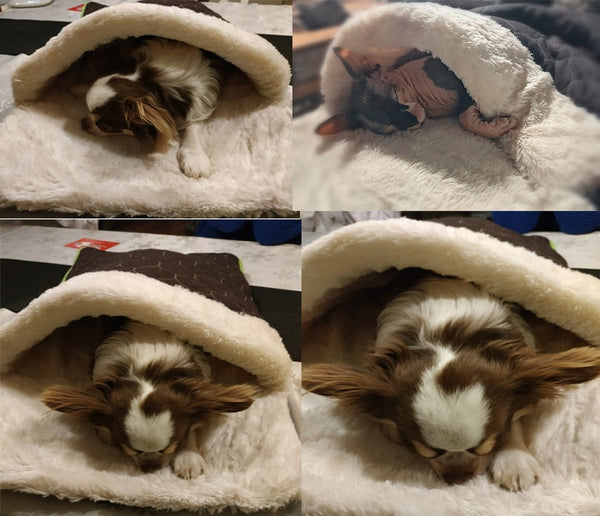 Warm Pets Bed Winter Plush Nest Sleeping Bags for Small Dogs and Cats