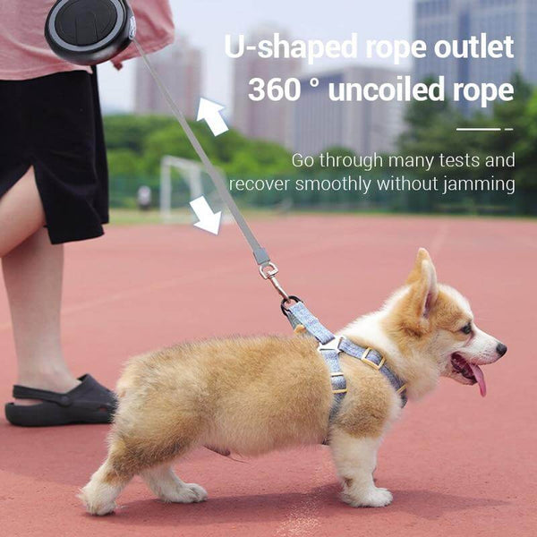 Automatic Extending/Retracting Dog Leash Straps Adjustable Dog Walking Running Leashes