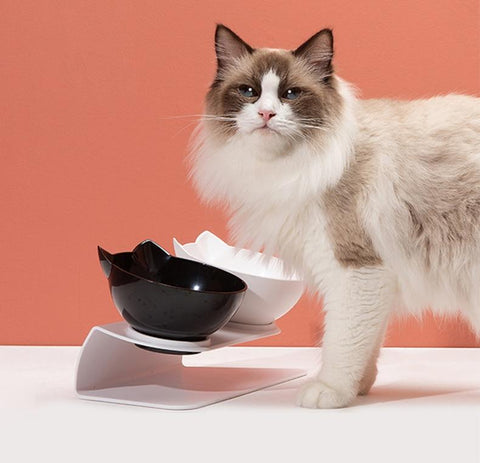 Cat Head Shaped Feeding Bowl with Raised Stand for Food and Water