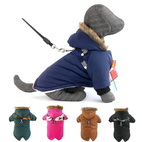 Hooded Warm Winter Jacket for Dogs - Multicolor