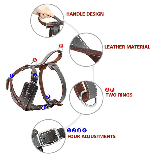 Genuine Leather Gladiator Vest Harness with Quick Control Handle for Large Dogs